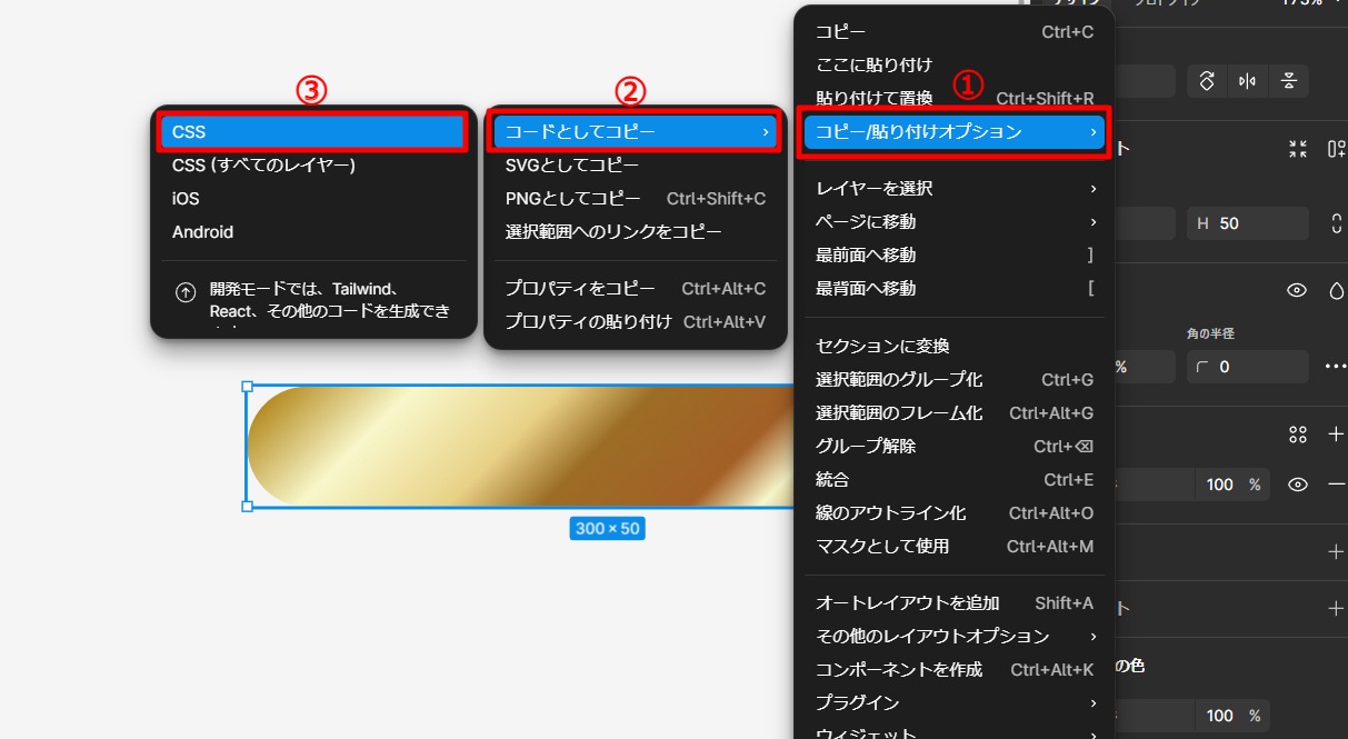 コピー/貼り付けオプションでCSSをコピーする